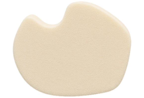 SESAMOID PADS